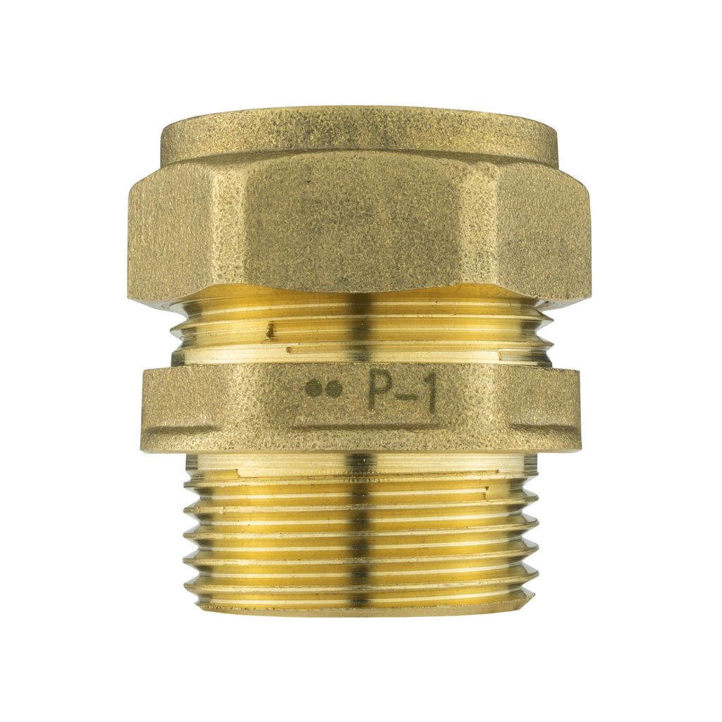 IBC 2” S60X6 Cap with Lever Valve and Brass Compression Straight ¾” BSP – 22mm