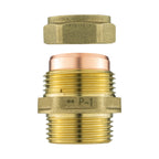 IBC 2” S60X6 Cap with Lever Valve and Brass Compression Straight ¾” BSP – 22mm