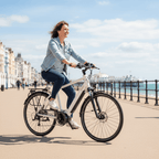 Batribike Penta X Crossbar Electric Bike