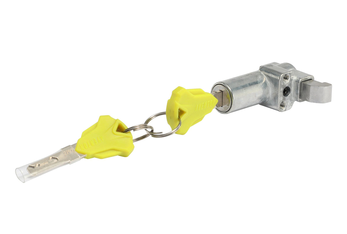 Aventon Lock Assembly with Key Set