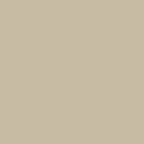 Standard Paint Options