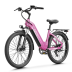 Aipas® C1 Max Xpress ST Ebike