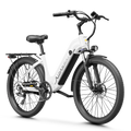 Aipas® C1 Max Xpress ST Ebike