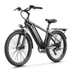 Aipas® C2 Max Xpress Ebike