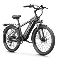 Aipas® C2 Max Xpress Ebike
