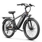 Aipas® C2 Max Xpress Ebike