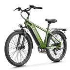 Aipas® C2 Max Xpress Ebike