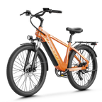 Aipas® C2 Max Xpress Ebike