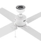 APEX 52 inch 4-Blade No Light Ceiling Fan with Pull Chain
