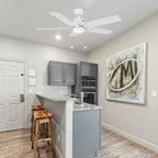APEX 52 inch 5-Blade Ceiling Fan with LED Light & Pull Chain
