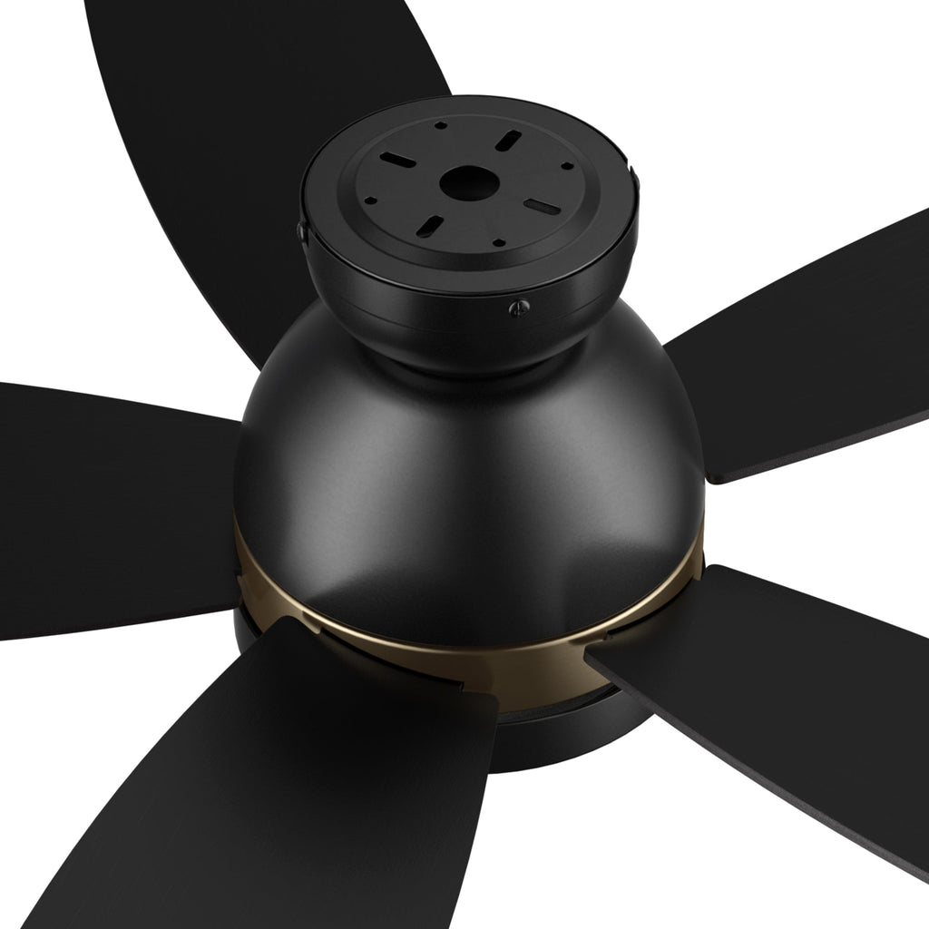 WEBSTER 48 inch 5-Blade Flush Mount Ceiling Fan with LED Light & Remote