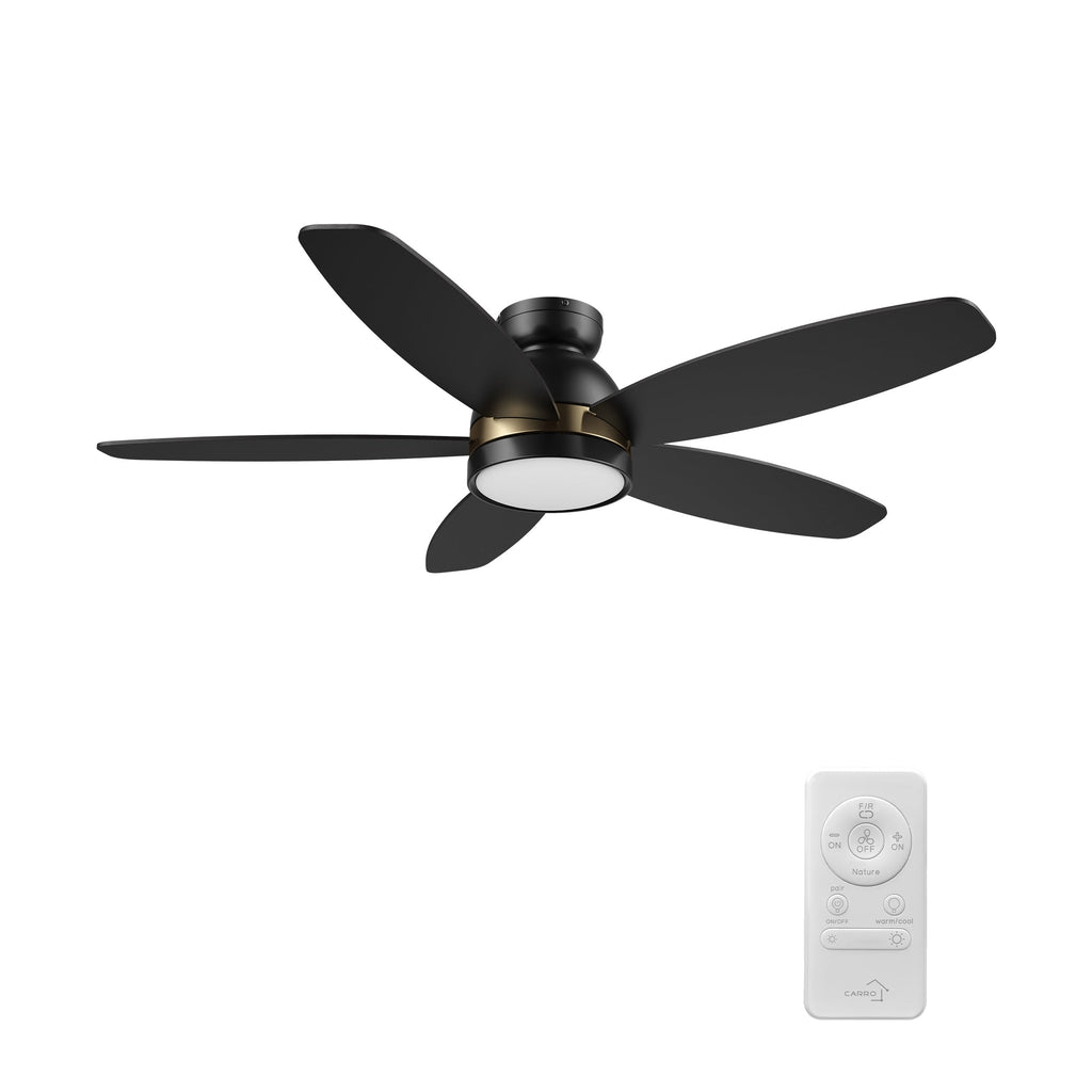 WEBSTER 48 inch 5-Blade Flush Mount Ceiling Fan with LED Light & Remote