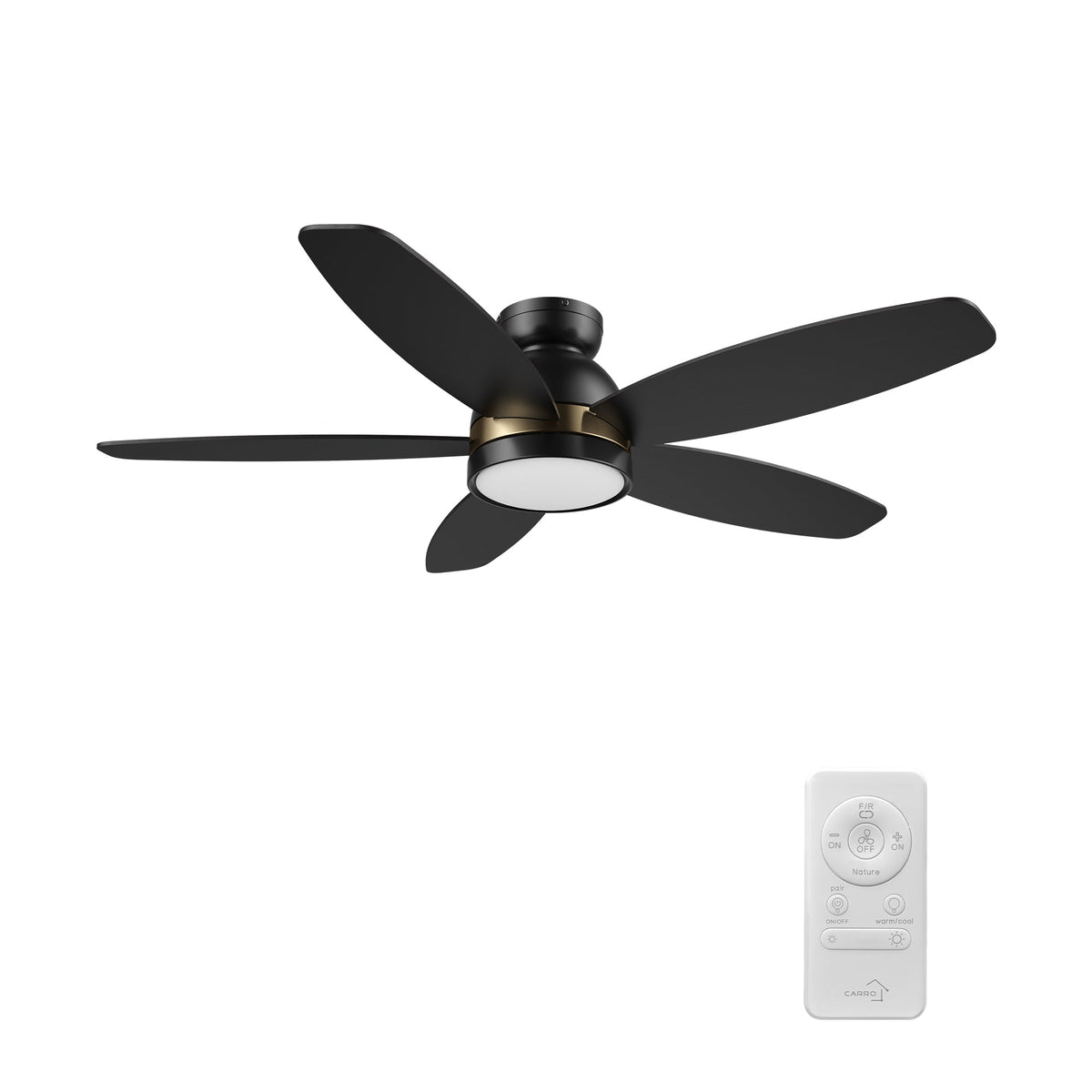 WEBSTER 48 inch 5-Blade Flush Mount Ceiling Fan with LED Light & Remote