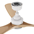 ECOSKY 52 inch 3-Blade Ceiling Fan with LED Light & Remote