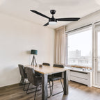 VARA 52 inch 3-Blade Ceiling Fan with LED Light & Remote