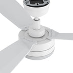 VARA 52 inch 3-Blade Ceiling Fan with LED Light & Remote