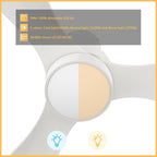 ZEPHYR 52 inch 3-Blade Ceiling Fan with LED Light & Remote