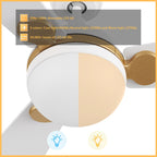 ZELDA 52 inch 3-Blade Ceiling Fan with LED Light & Remote