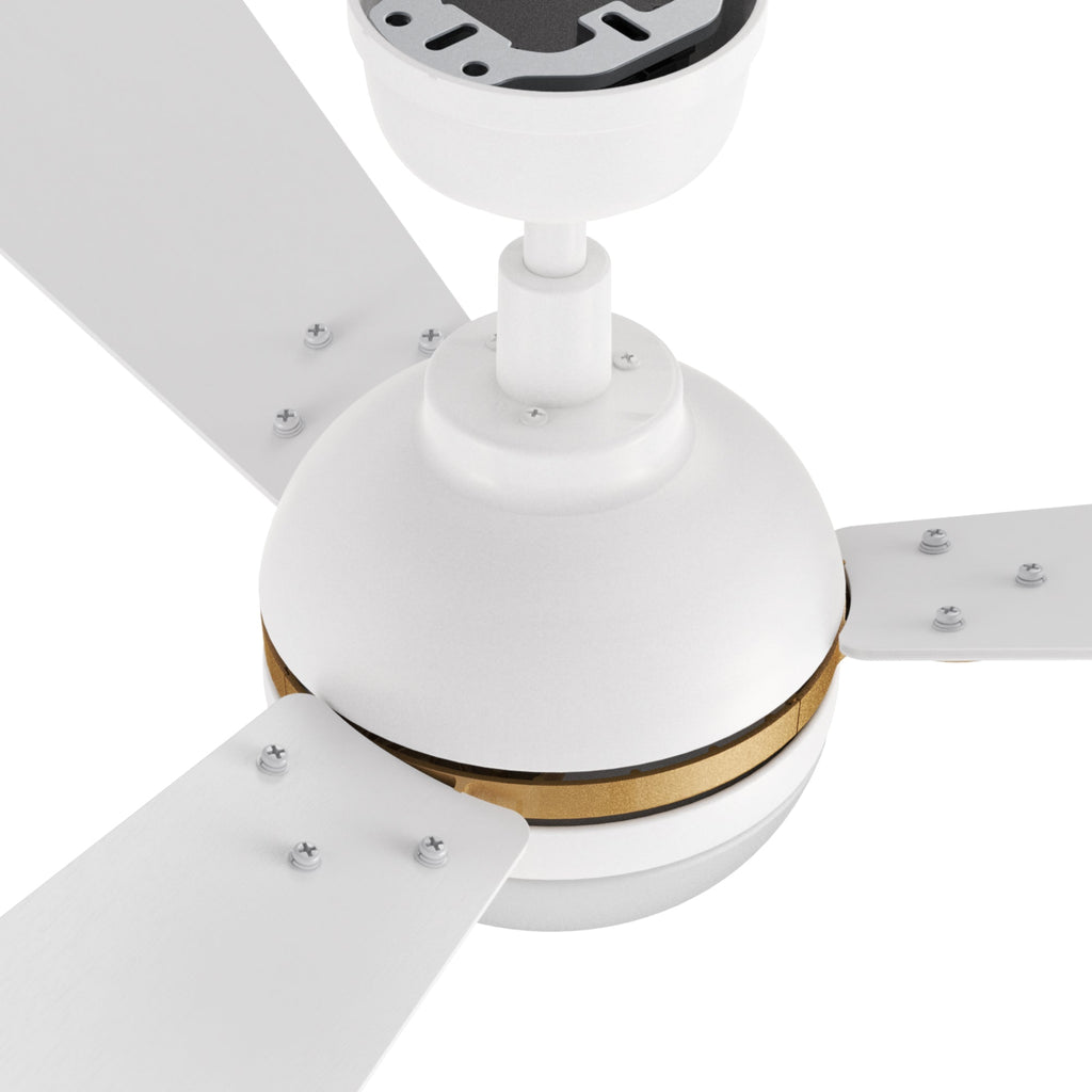 ZELDA 52 inch 3-Blade Ceiling Fan with LED Light & Remote