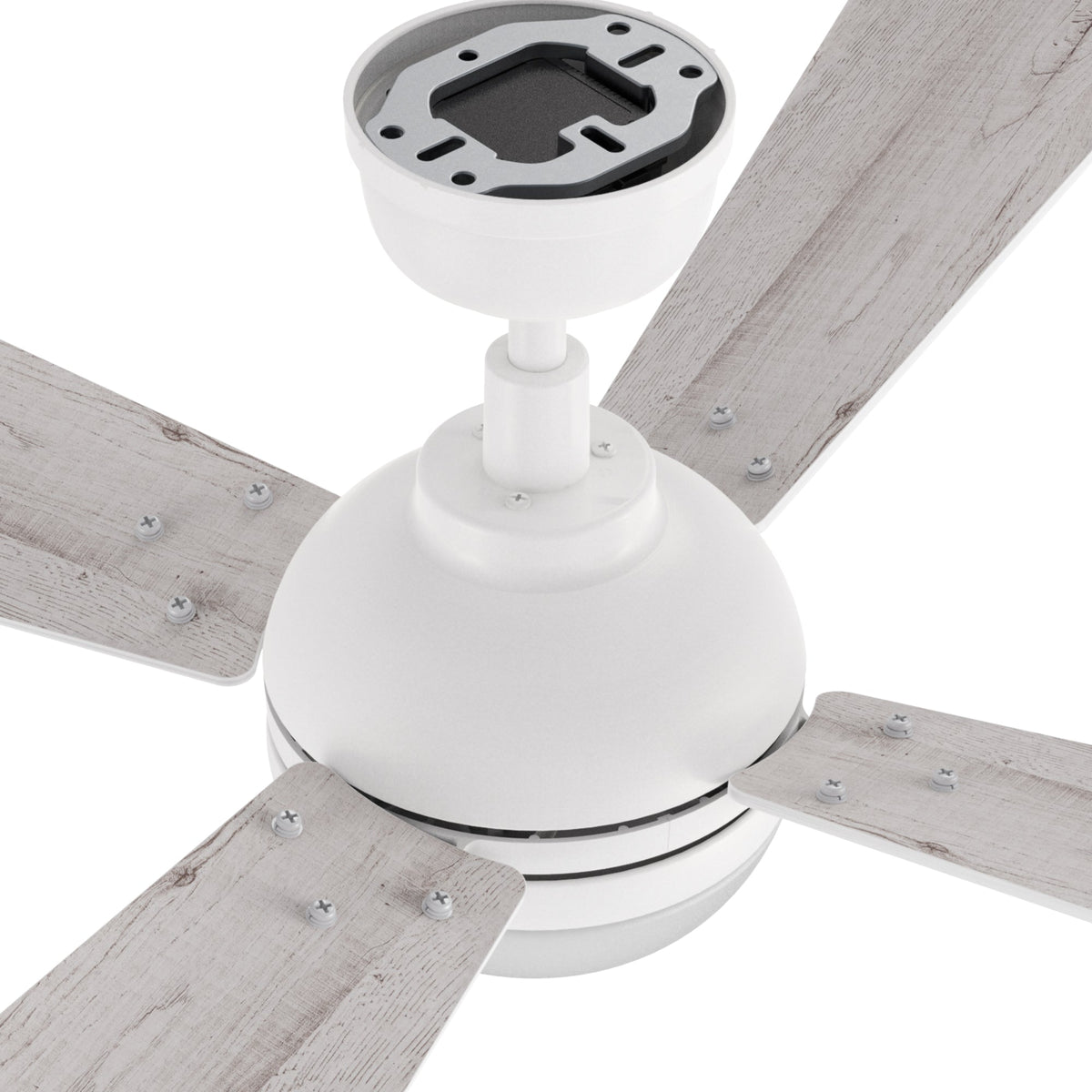 ZELDA 52 inch 4-Blade Ceiling Fan with LED Light & Remote