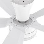 VARA 52 inch 5-Blade Flush Mount Ceiling Fan with LED light & Remote