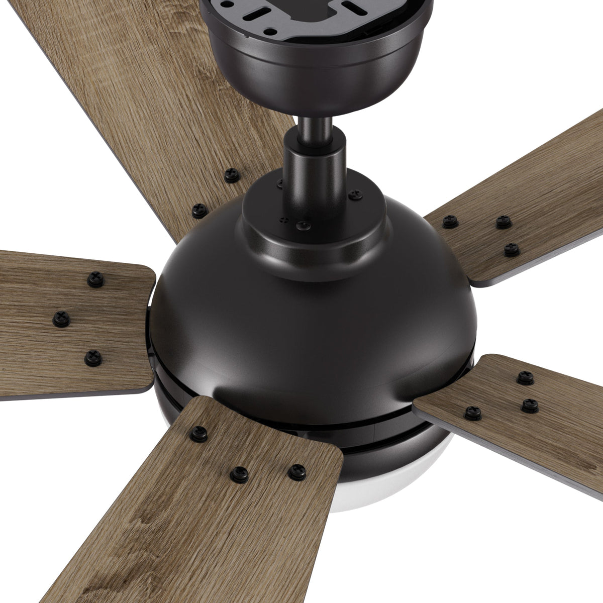 ZELDA 52 inch 5-Blade Ceiling Fan with LED Light & Remote