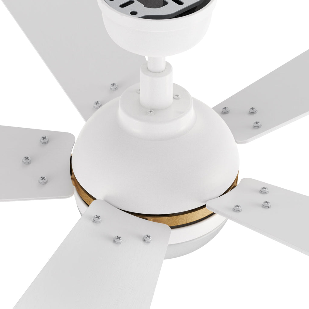 ZELDA 52 inch 5-Blade Ceiling Fan with LED Light & Remote