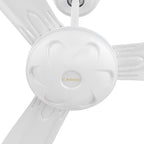 OBERON 56 inch 3-Blade No Light Ceiling Fan with Remote-Z4
