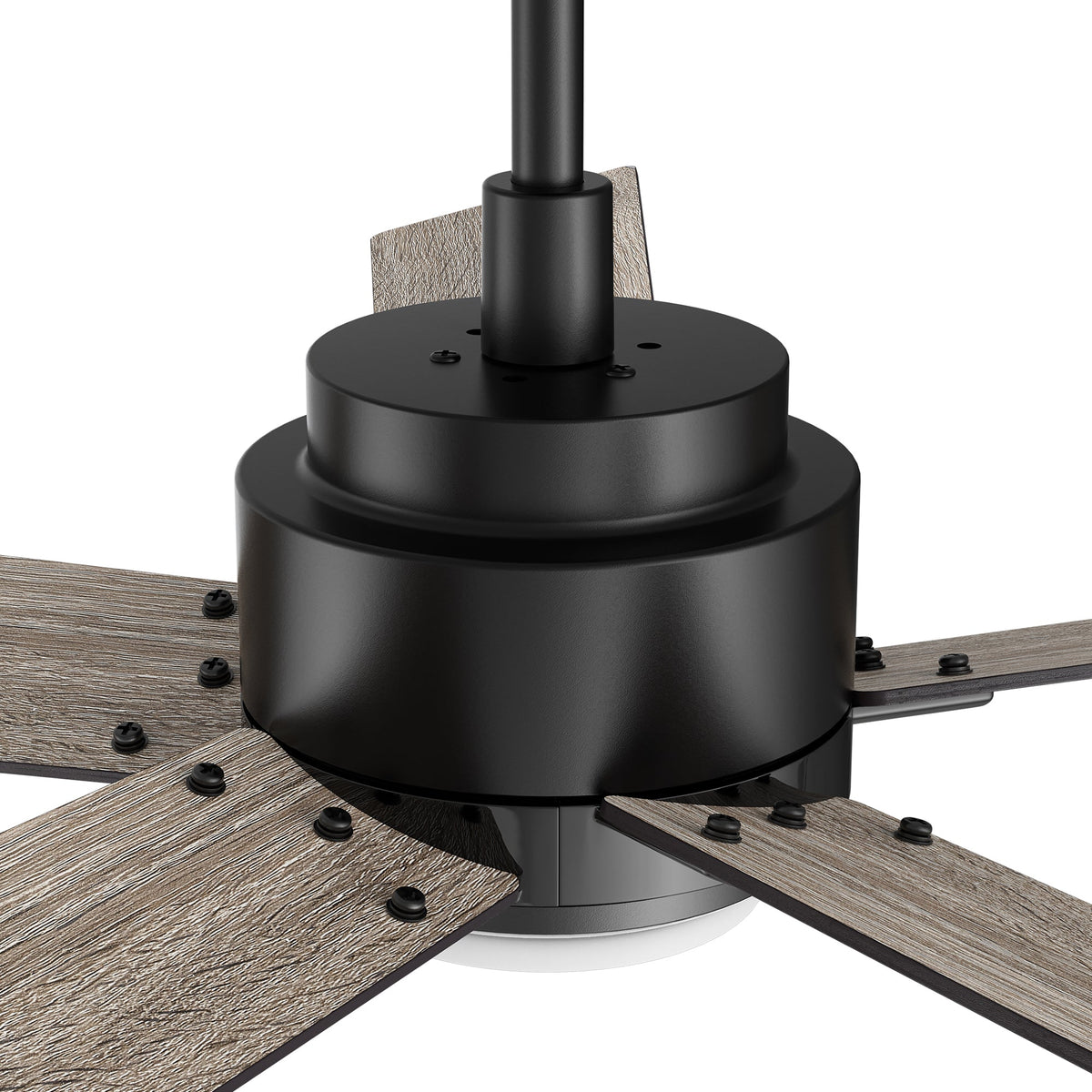 CHANTAL 60 inch 5-Blade Ceiling Fan with LED Light & Remote