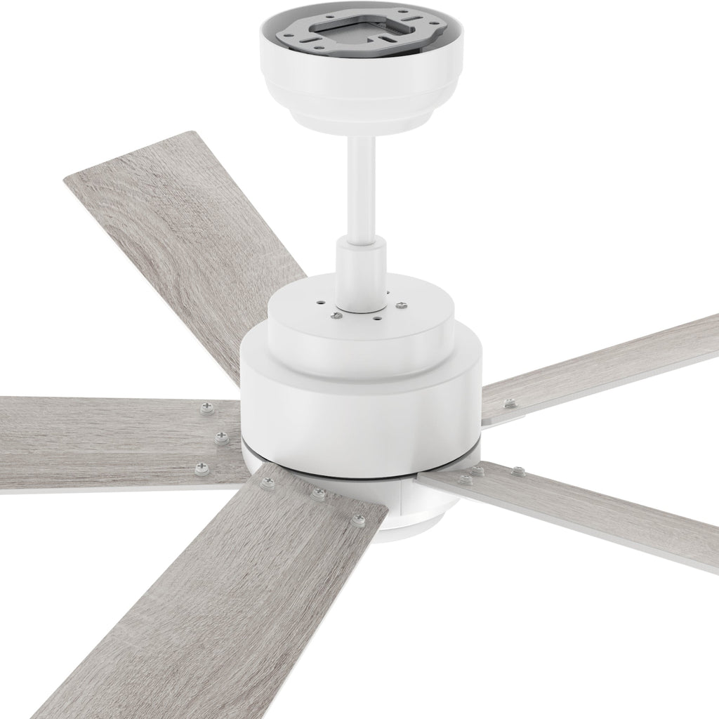 CHANTAL 60 inch 5-Blade Ceiling Fan with LED Light & Remote