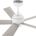 CHANTAL 60 inch 5-Blade Ceiling Fan with LED Light & Remote