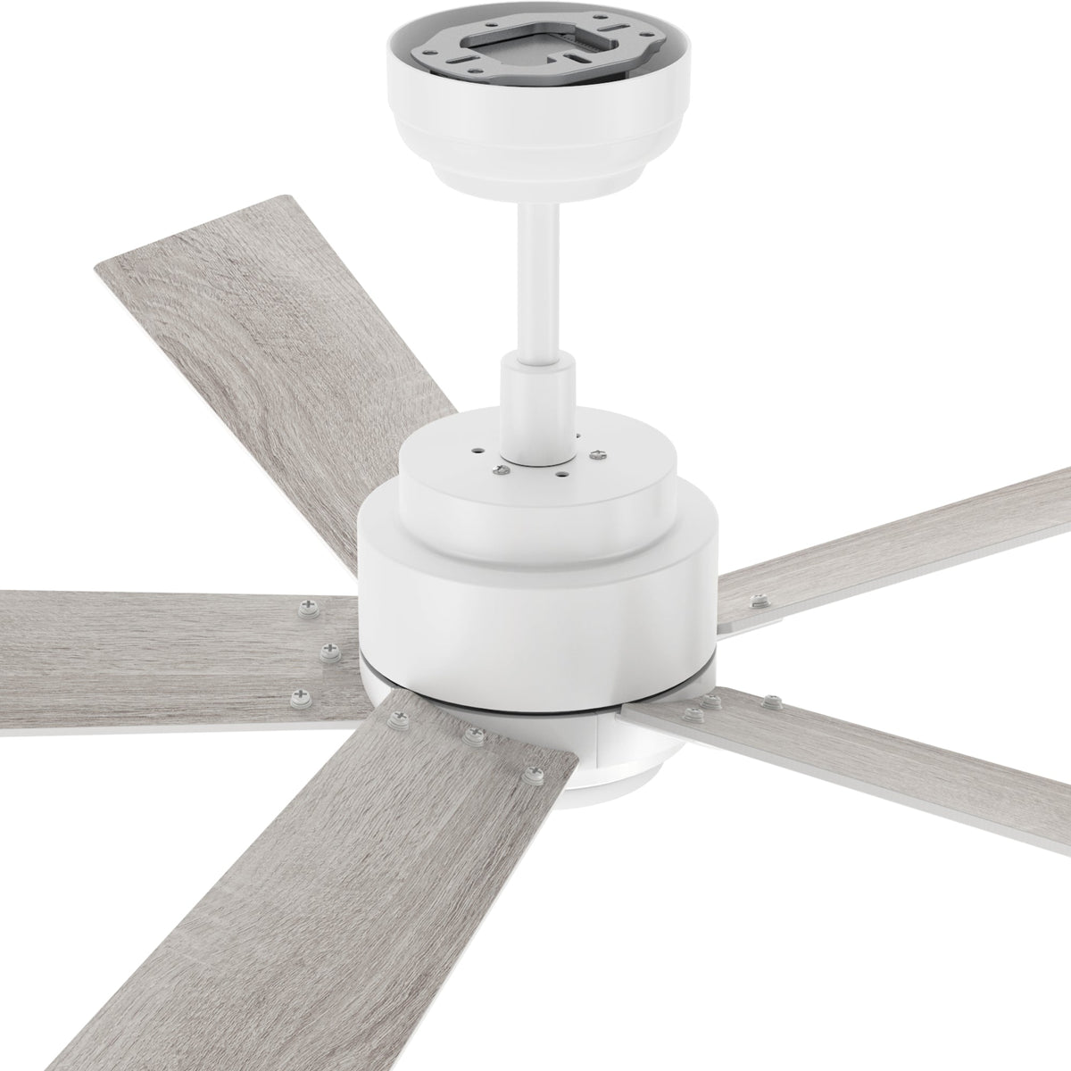 CHANTAL 60 inch 5-Blade Ceiling Fan with LED Light & Remote