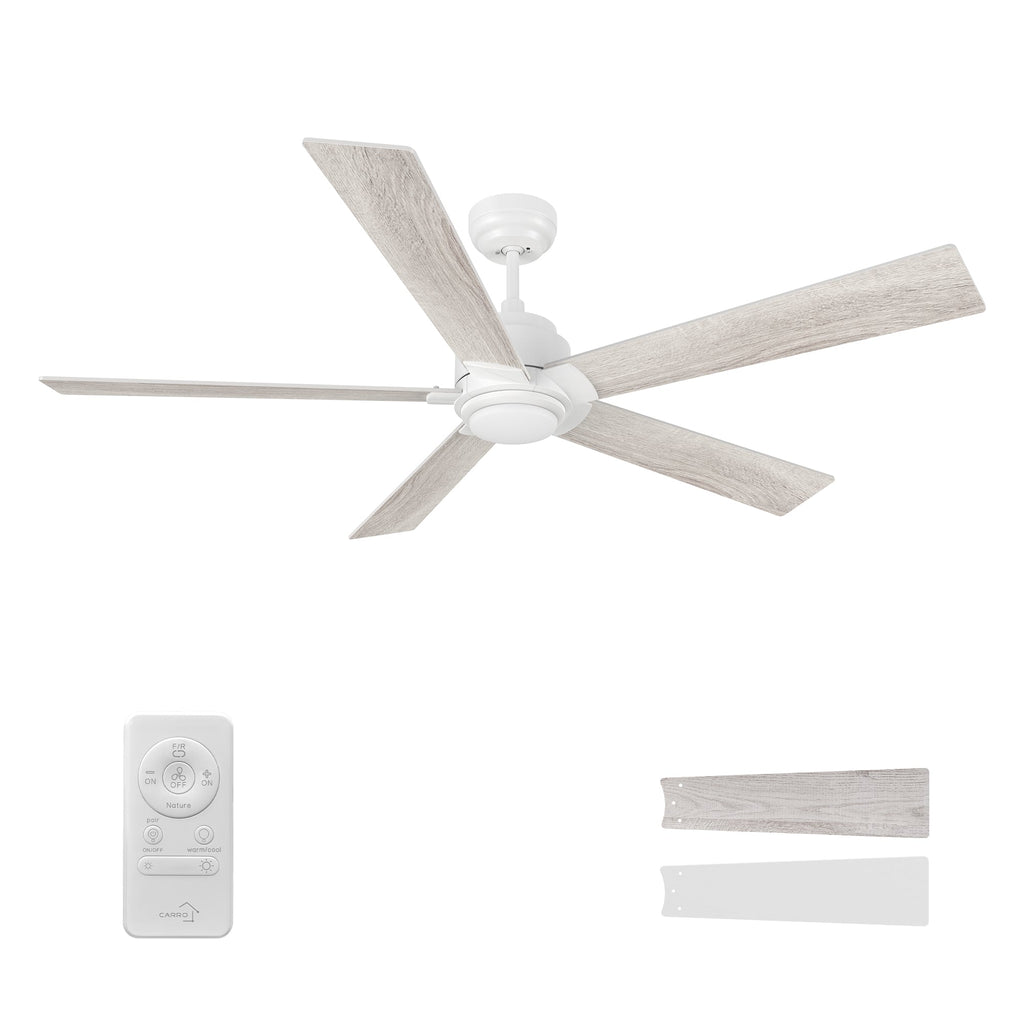 CHANTAL 60 inch 5-Blade Ceiling Fan with LED Light & Remote