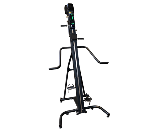 ENDURANCE CL300 VERSA CLIMBER