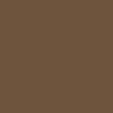 Standard Paint Options