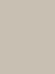 Standard Paint Options