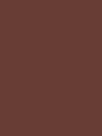 Standard Paint Options