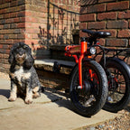 E-Go Lite Folding Electric Bike 250W