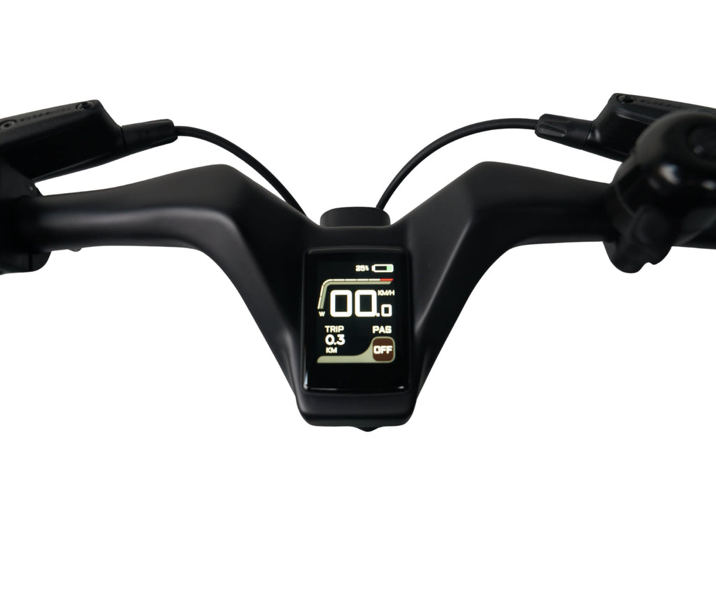 E-Go Carbon Lite Folding Mid Drive Electric Bike 250W