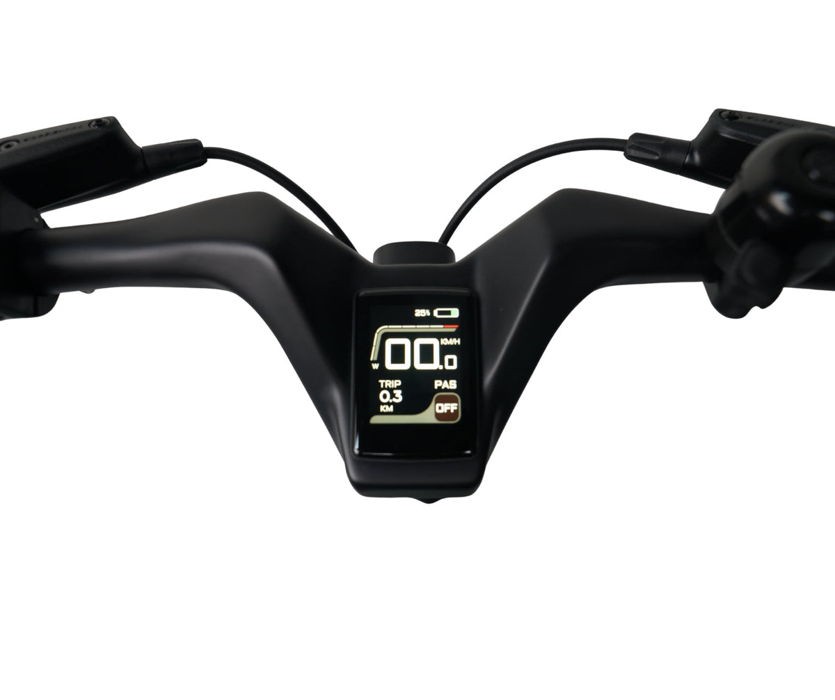 E-Go Carbon Lite Folding Mid Drive Electric Bike 250W