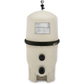 Pentair FNS Plus 36 Sq. Ft DE Filter