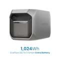EcoFlow DELTA 3 Smart Extra Battery 1024Wh