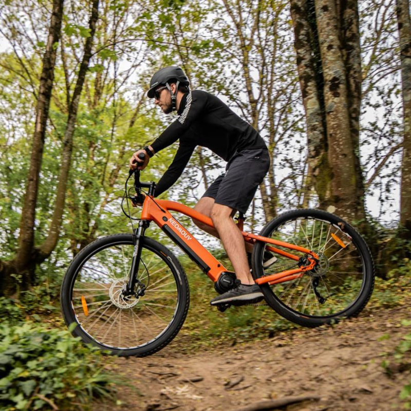 Neomouv Enara 2 Electric Mountain Bike eMTB