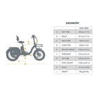 Eunorau One Trike Electric Fat Tire Tricycle