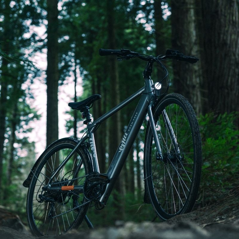 Emu Evo Crossbar Electric Bike 250W