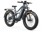 (Pre-order) Swift Horse Ultra X-6E