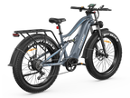 (Pre-order) Swift Horse Ultra X-6E