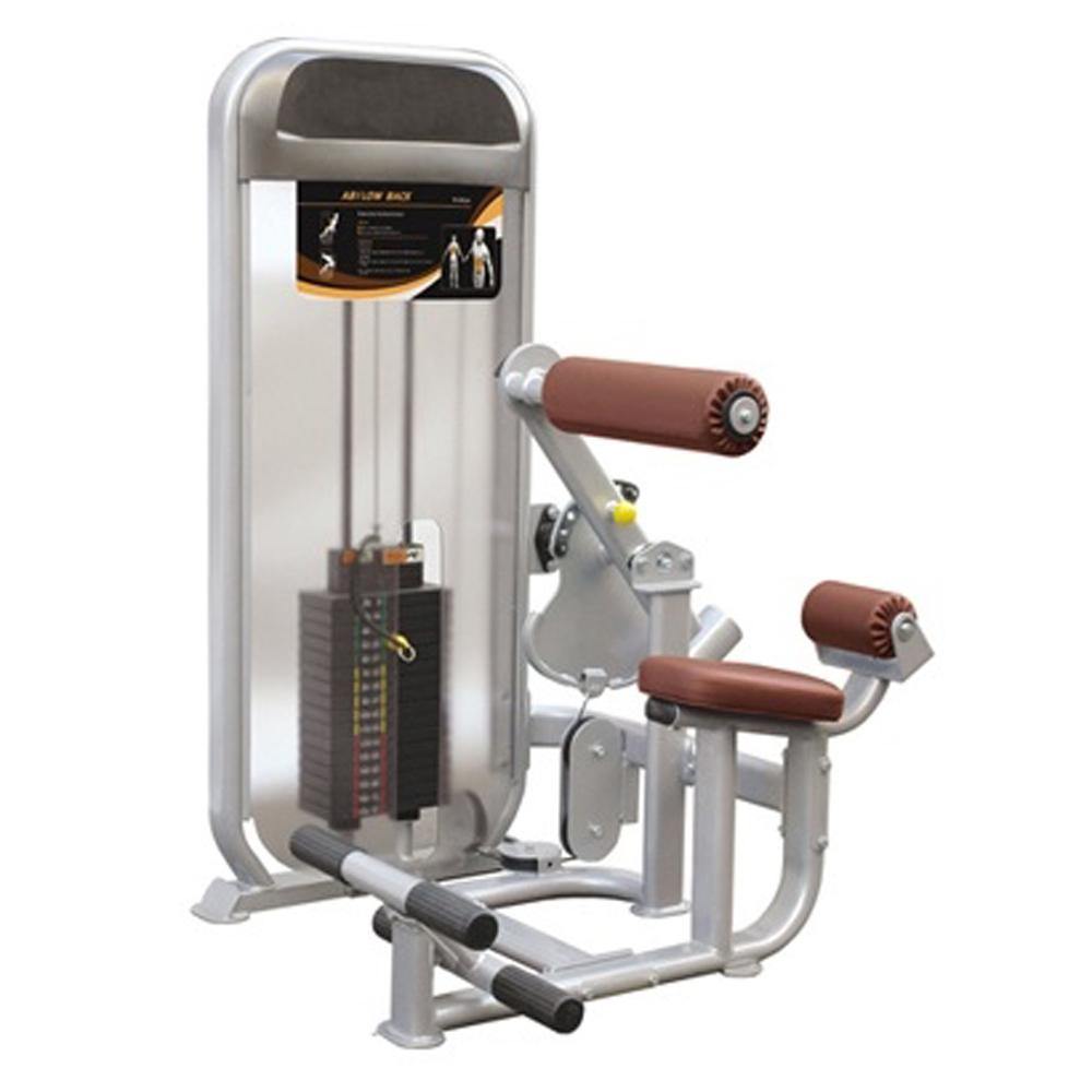 GymGear Dual Series – Ab / Low Back