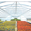 Solarig 182 Woven Plastic Greenhouse Cover/Film