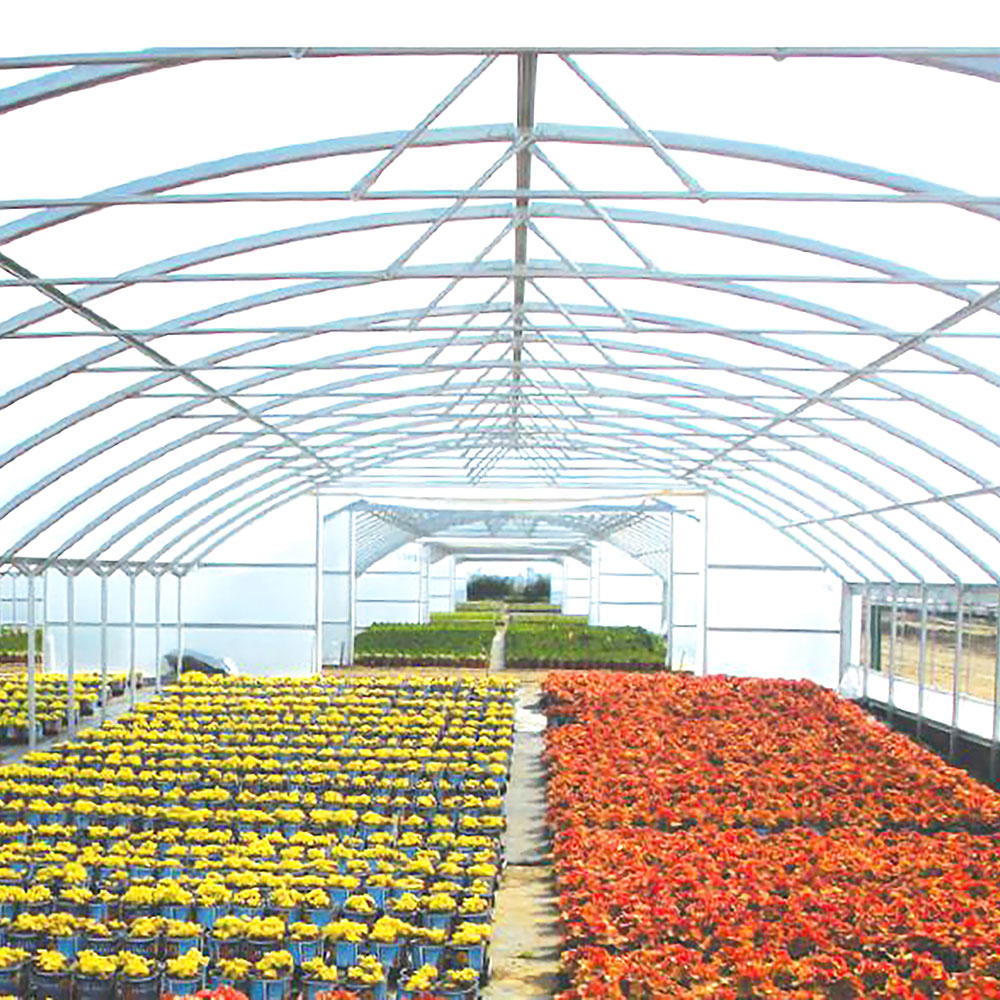 Solarig Classic 156 Woven Plastic Greenhouse Cover/Film